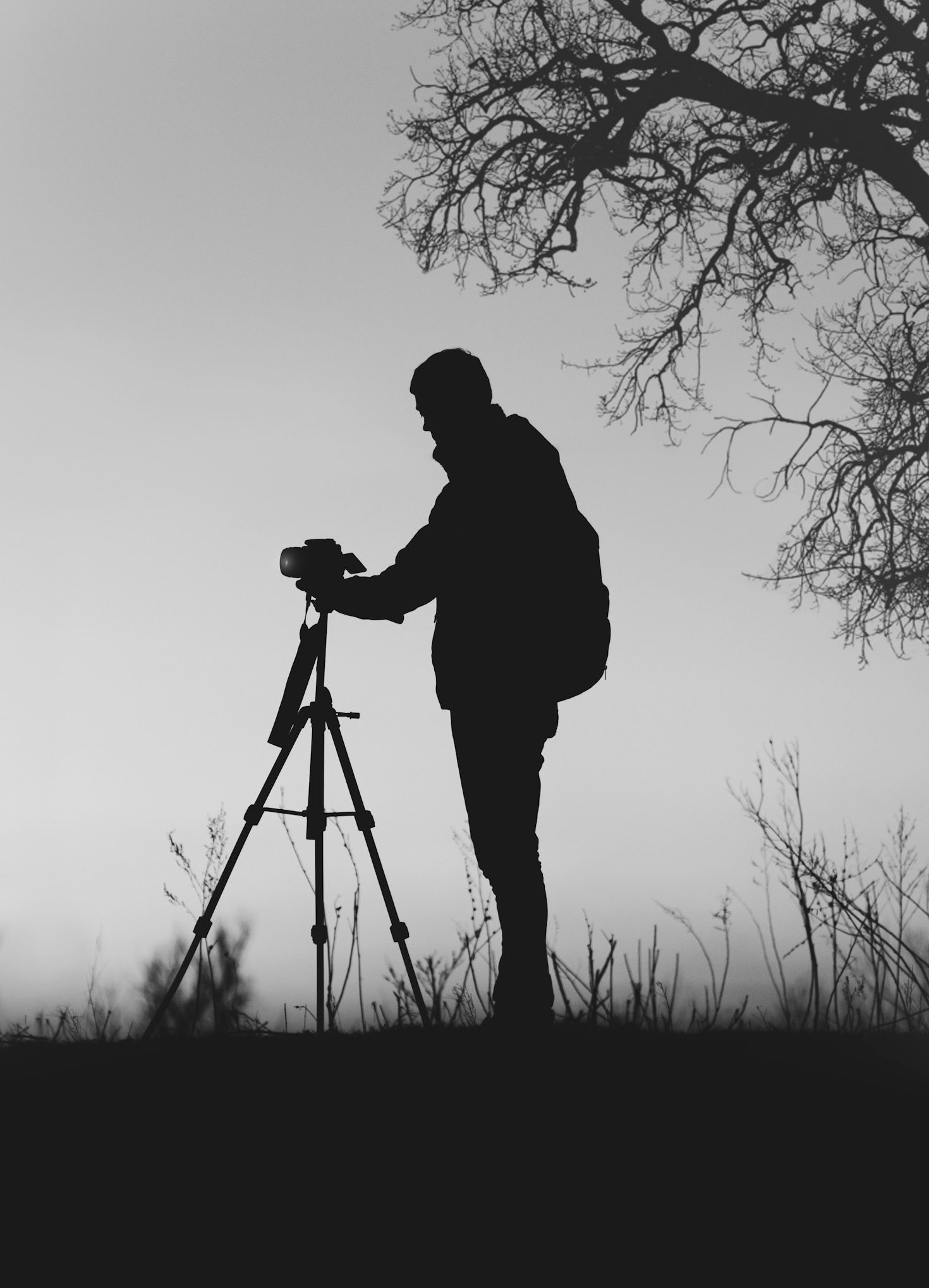 Por Que Contratar um Fotógrafo Profissional?